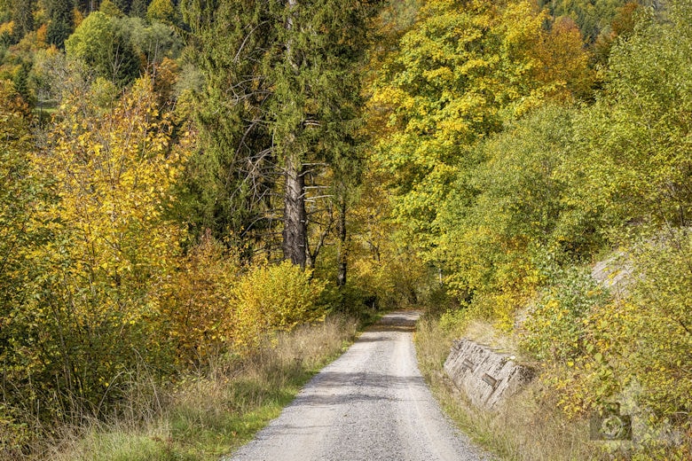 Schwarzwälder Genießerpfad - Viadukt- und Schluchtentour im Herbst