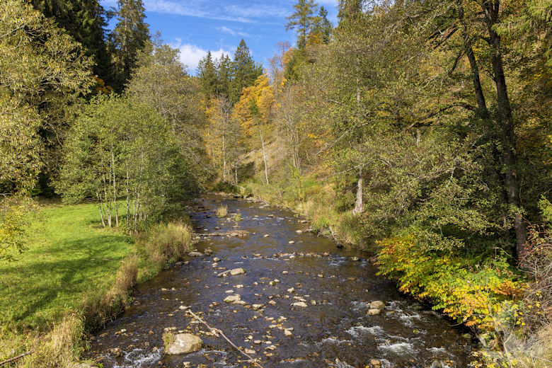 Schwarzwälder Genießerpfad - Viadukt- und Schluchtentour im Herbst