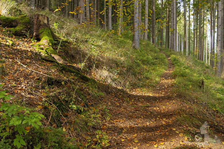 Schwarzwälder Genießerpfad - Viadukt- und Schluchtentour im Herbst