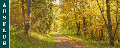 Schwarzwälder Genießerpfad - Viadukt- und Schluchtentour im Herbst