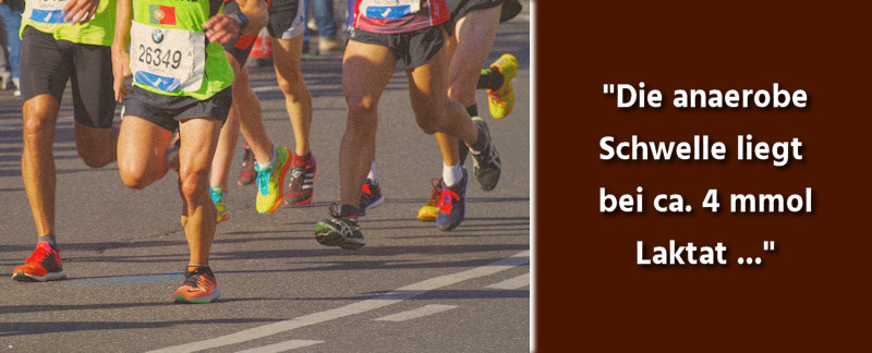 Sporttheorie Laufen Fachbegriffe Definitionen