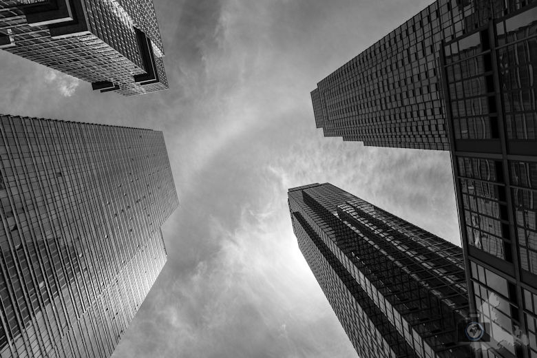 Big Bus Tour New York