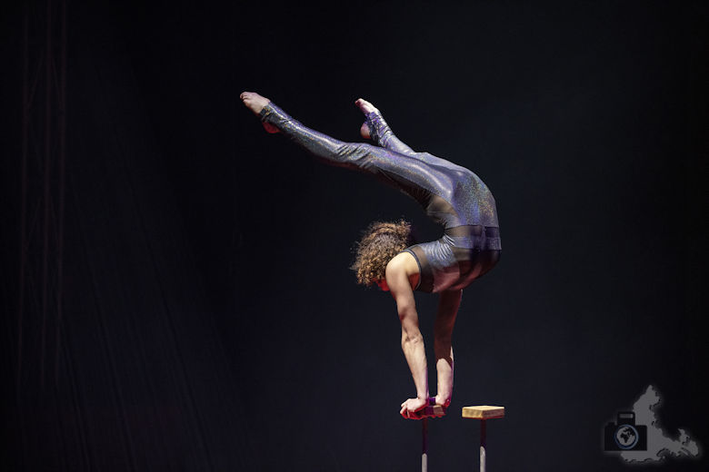 Circolo 2022 - Sofia