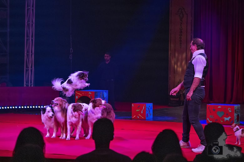 Circolo 2022 - Sando Montez