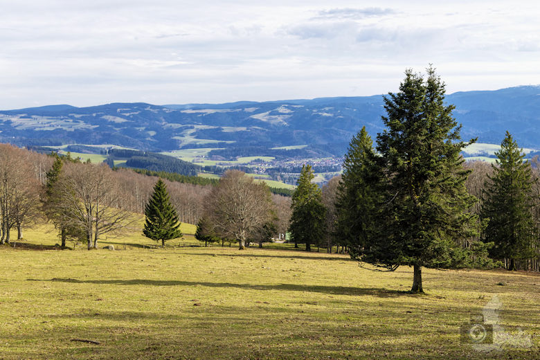 Berggeheimnis Rätseltour am Kandel - Kandel Landschaft