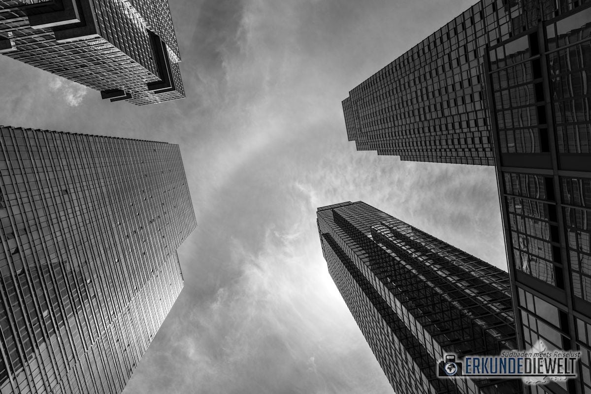 Canon RF 24-105 F4L IS USM – Next Level Standardzoom