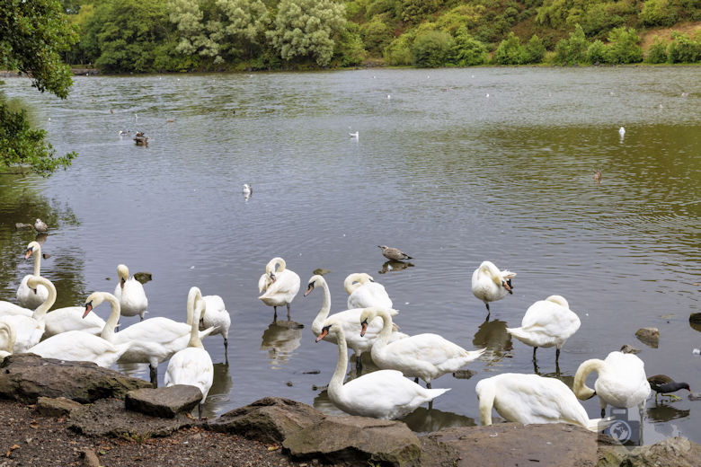 Edinburgh - St. Margareths Loch