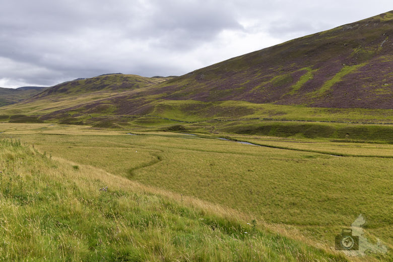 Schottland Reisebericht - Cairngorms National Park