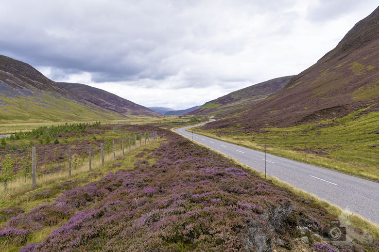 Schottland Reisebericht - Cairngorms National Park