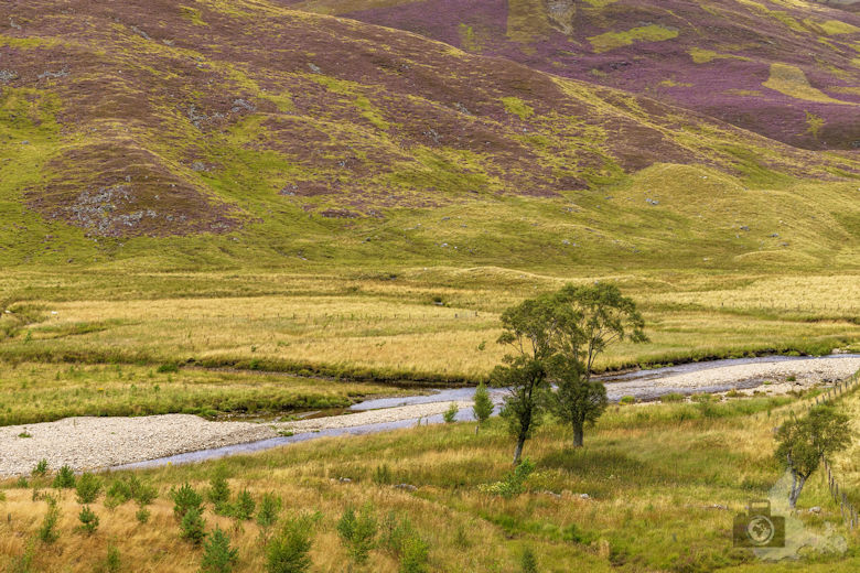 Schottland Reisebericht - Cairngorms National Park