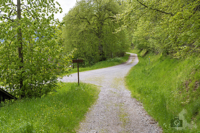 Schwarzwälder Genießerpfad - Auerhahnweg