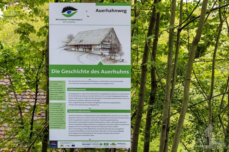 Schwarzwälder Genießerpfad - Auerhahnweg