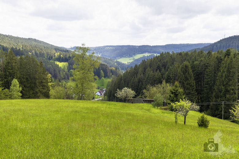 Schwarzwälder Genießerpfad - Auerhahnweg