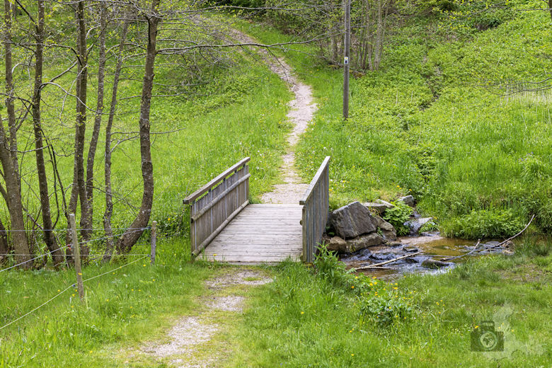 Schwarzwälder Genießerpfad - Auerhahnweg