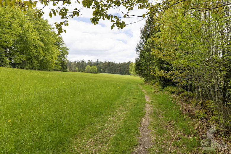 Schwarzwälder Genießerpfad - Auerhahnweg