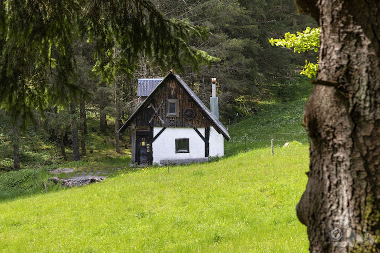 Schwarzwälder Genießerpfad - Auerhahnweg