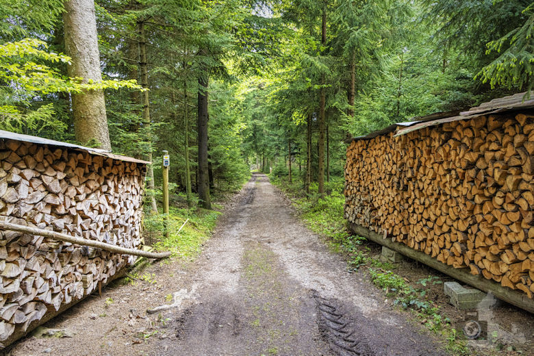 Schwarzwälder Genießerpfad - Auerhahnweg