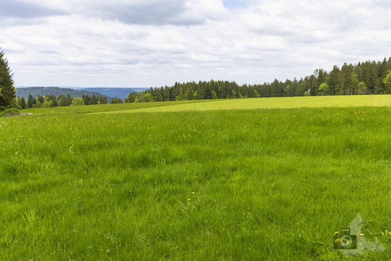 Schwarzwälder Genießerpfad - Auerhahnweg