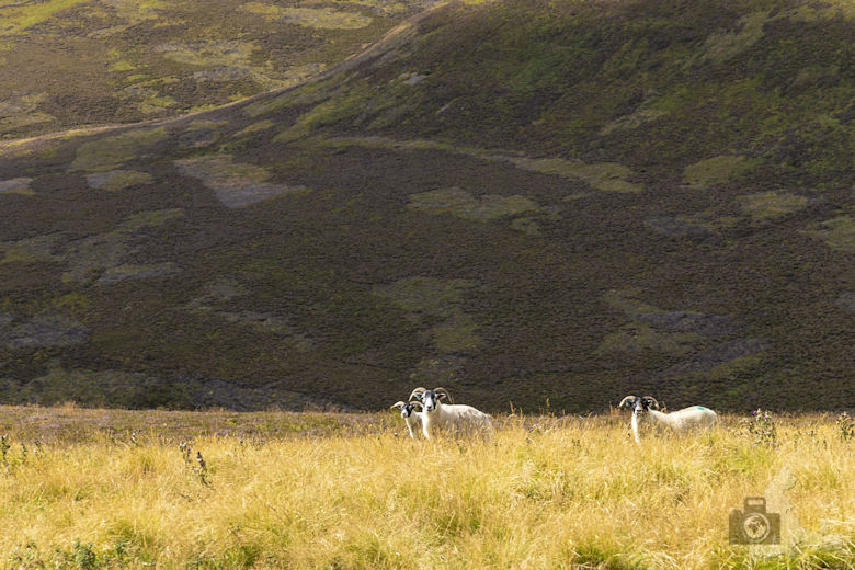 Highland Tourist Route, Schottland
