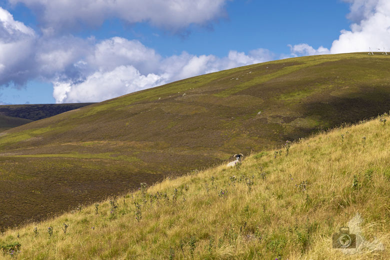Highland Tourist Route, Schottland