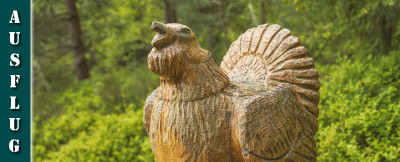 Schwarzwälder Genießerpfad - Auerhahnweg