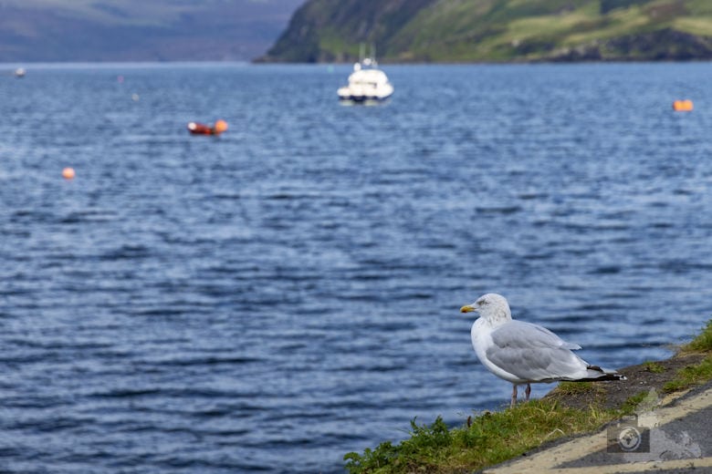 Isle of Skye - Portree