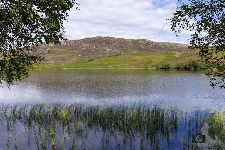 Loch Tarff