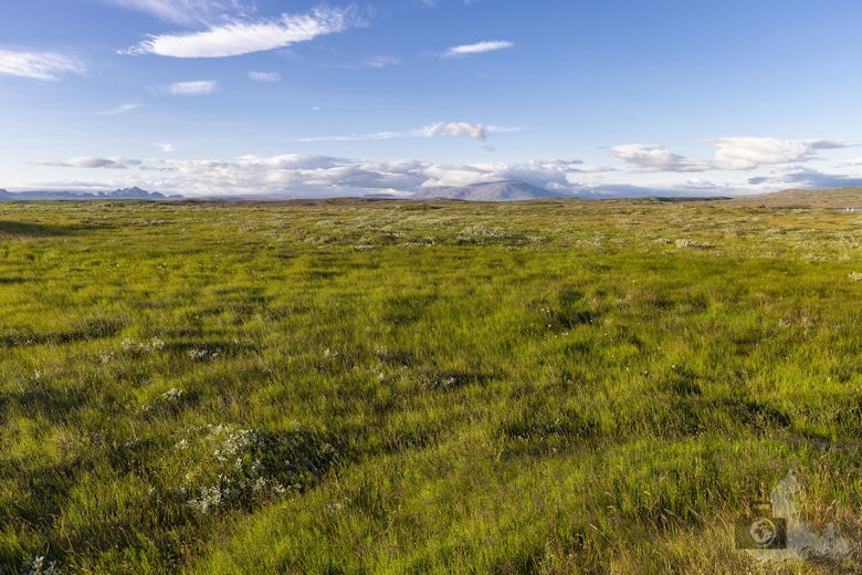 Reisebericht Island Golden Circle