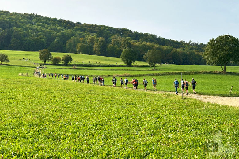 Megamarsch Freiburg 2023