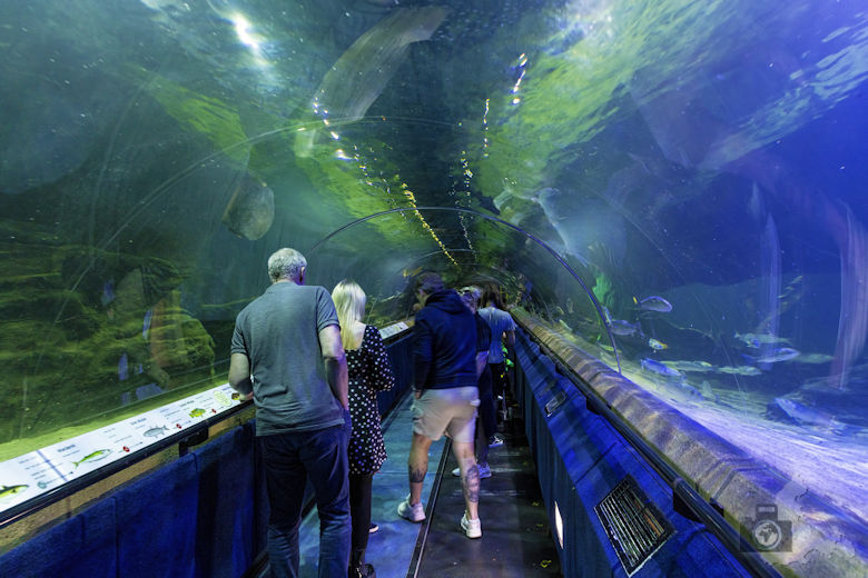 North Queensferry - Deep Sea World