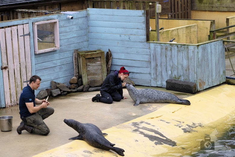 North Queensferry - Deep Sea World