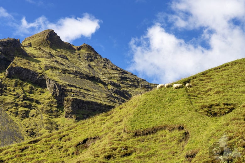 Islands Wasserfälle - Skogafoss