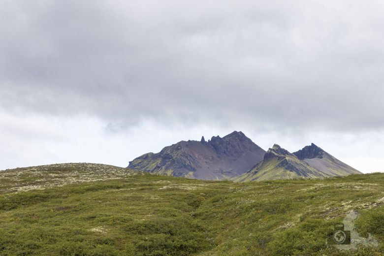 Wasserfall Svartifoss Island