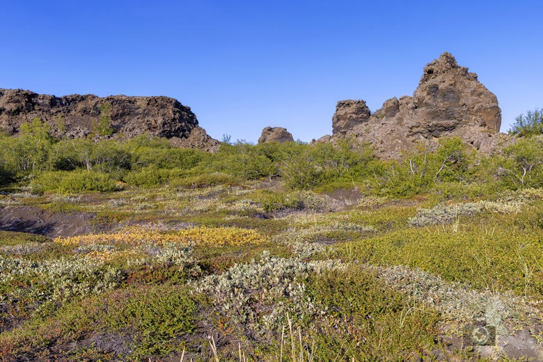 Dimmuborgir Lava Field