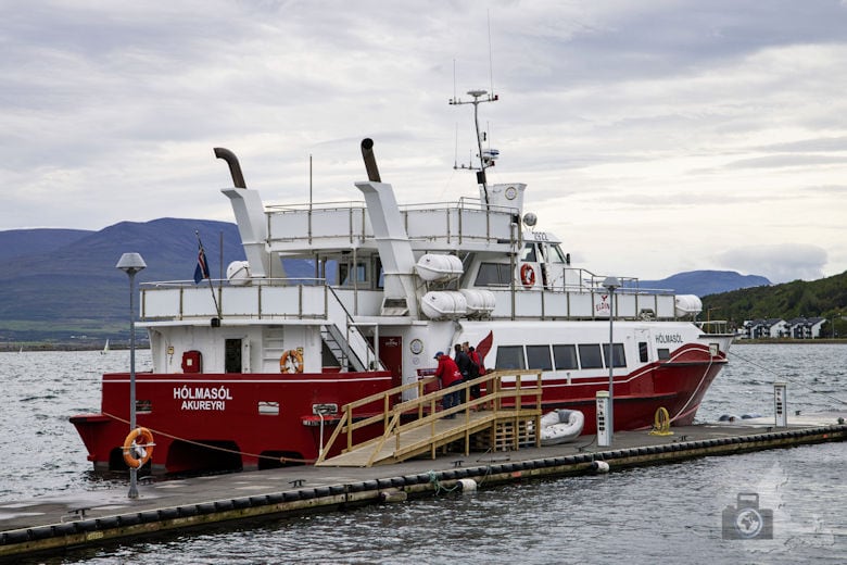 Walbeobachtungsschiff Akureyri