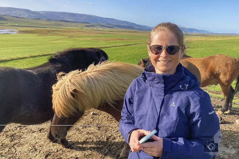 Stóra-Ásgeirsá Horse Farm - Pferde