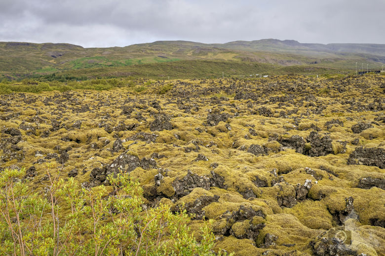 Islands Westen - Lavafeld