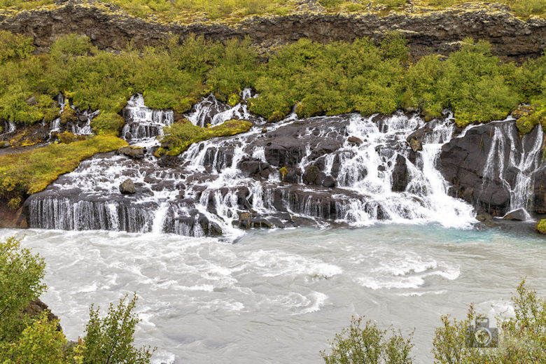 Islands Westen - Hraunfossar