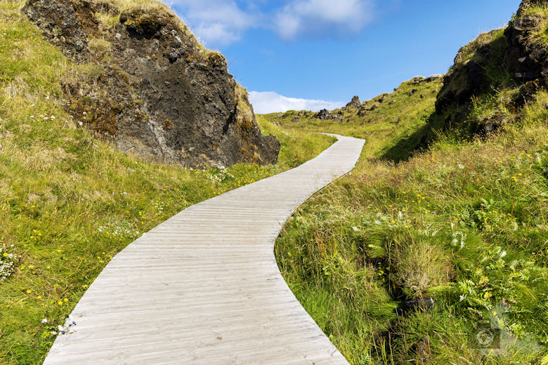 Island, Halbinsel Snæfellsnes, Küstenwanderung Hellnar Arnarstapi