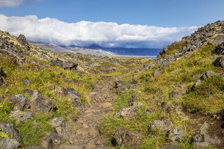 Island, Halbinsel Snæfellsnes, Küstenwanderung Hellnar Arnarstapi