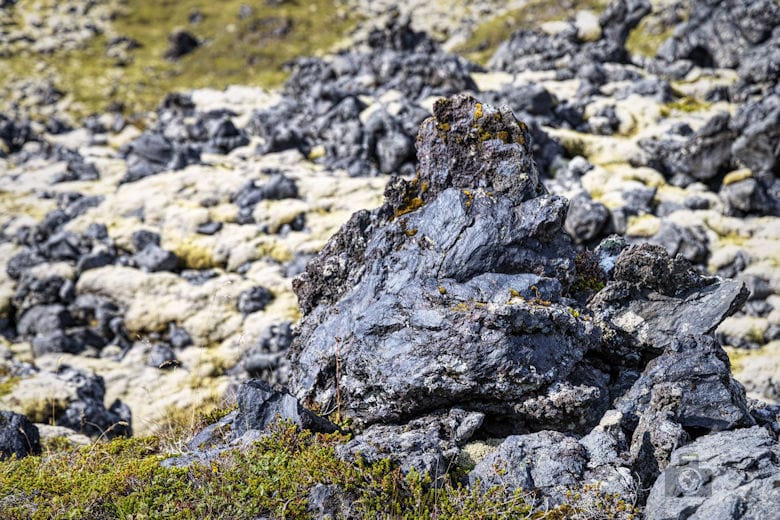 Island, Halbinsel Snæfellsnes, Küstenwanderung Hellnar Arnarstapi