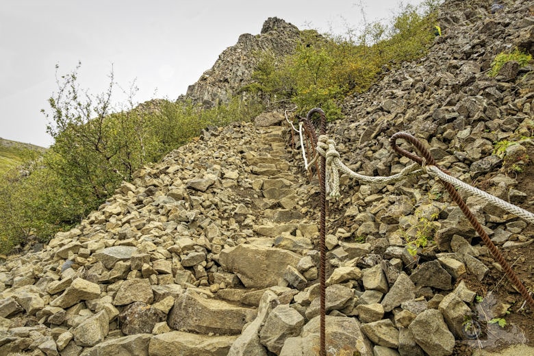 Glymur Wasserfall Wanderung - Treppe