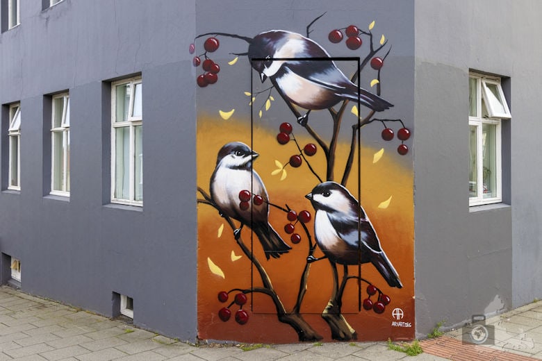 Street-Art & Graffitis in Reykjavik, Island