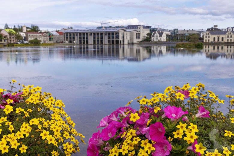 Sehenswürdigkeiten in Reykjavik - Stadtsee Tjörnin