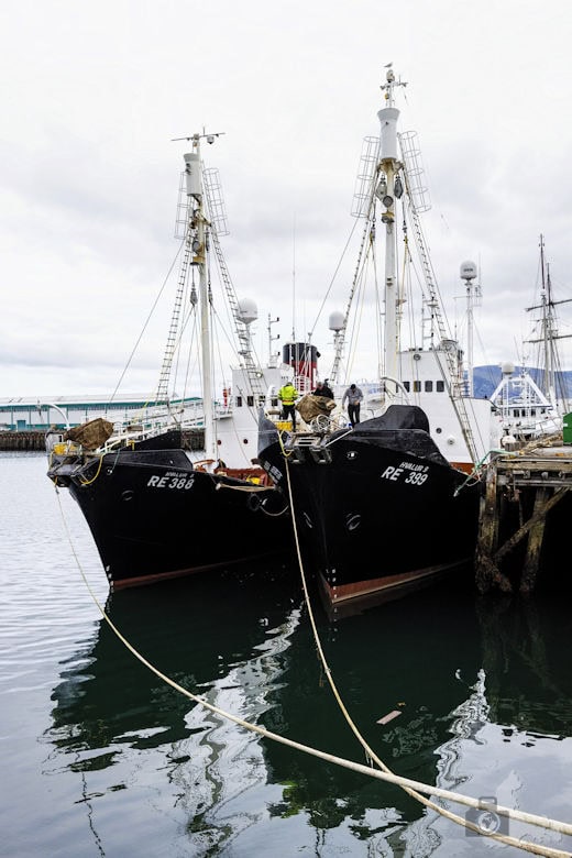 Sehenswürdigkeiten in Reykjavik - Walfänger