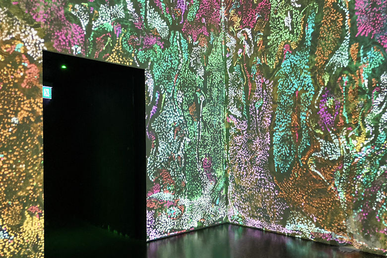 Circuleight, Harpa, Reykjavik