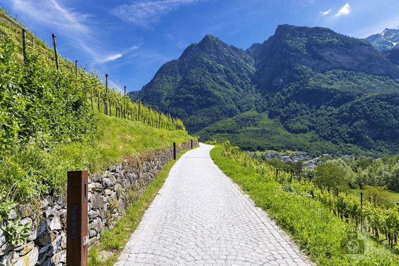 Burg Gutenberg, Liechtenstein