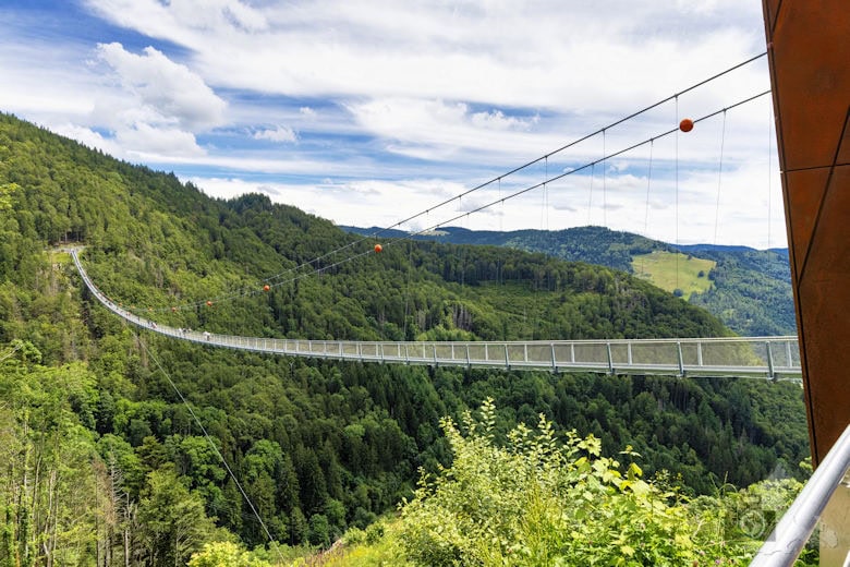 Blackforestline Hängebrücke, Schwarzwald