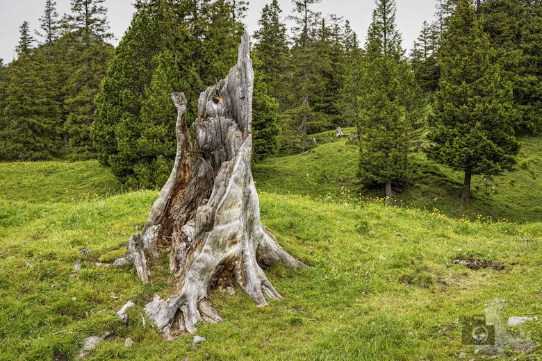 Wanderung Malbun, Liechtenstein