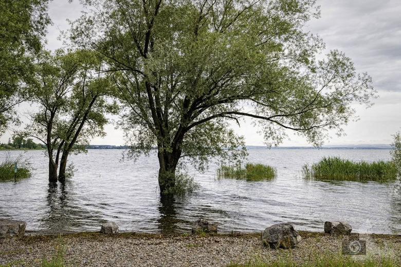 Arbon am Bodensee, Schweiz